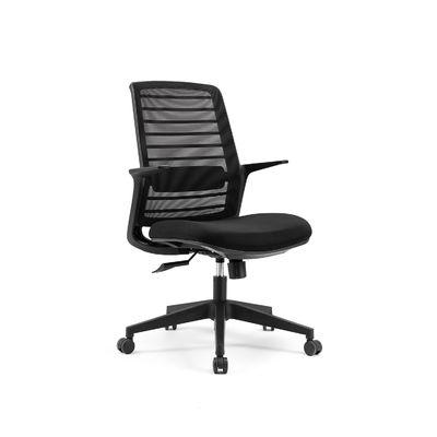 Chair Body