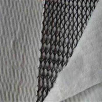 China 6m Width Black and White Geonet Geotextile Composite Drainage Geonet at for Landfill for sale