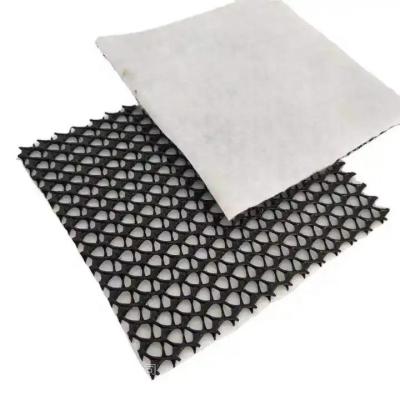 China High Drainage HDPE Mesh Drainage Geonet 3D Composite Drainage Mat for Railways Highways for sale