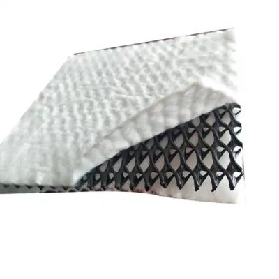 China HDPE Mesh 3D Composite Drainage Geonet for Railways and Highways Other 4mm-8mm Tickness for sale