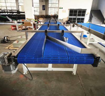 China Blue Automated Conveyor Systems With More Lanes For Industry Production Needs for sale
