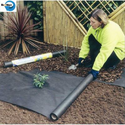 China Agriculture PP Woven Plastic Low Price Weed Control Weed Mat Ground Cover Landscape Fabric for sale