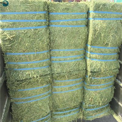 China High Quality White/Blue/Colorious PP/PE Tensile Strength Strapping Rope for Loading and Unloading à venda