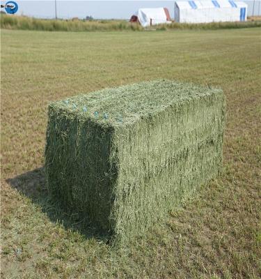 China Agriculture PP/ PE Packaging Baler Twine for sale