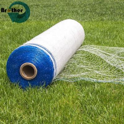 China Factory Price Multi-Colored HDPE High Density Strapping Net for Grassland for sale