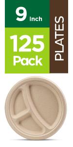 9 inch plates 3 compartment