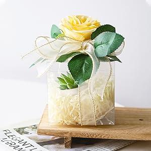 Plastic Gift Boxes