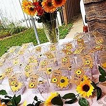 plastic gift boxes
