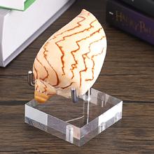 Clear Acrylic Display Stand Holder