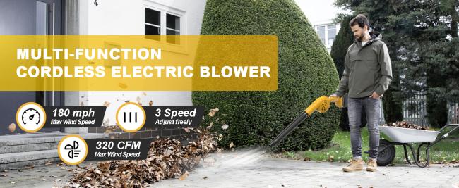 Cordless Leaf Blower