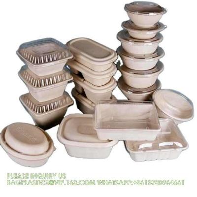 China Bagasse Paper Container Biodegradable Paper Plate Disposable Pulp 11