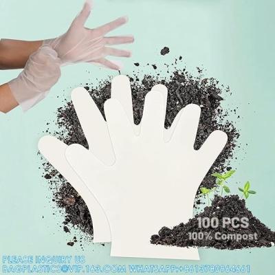 China Compostable Food Prep Disposable Gloves Restaurant Grade Safe For Cooking Handling Serving PLA Plant-Based Eco Friendly for sale