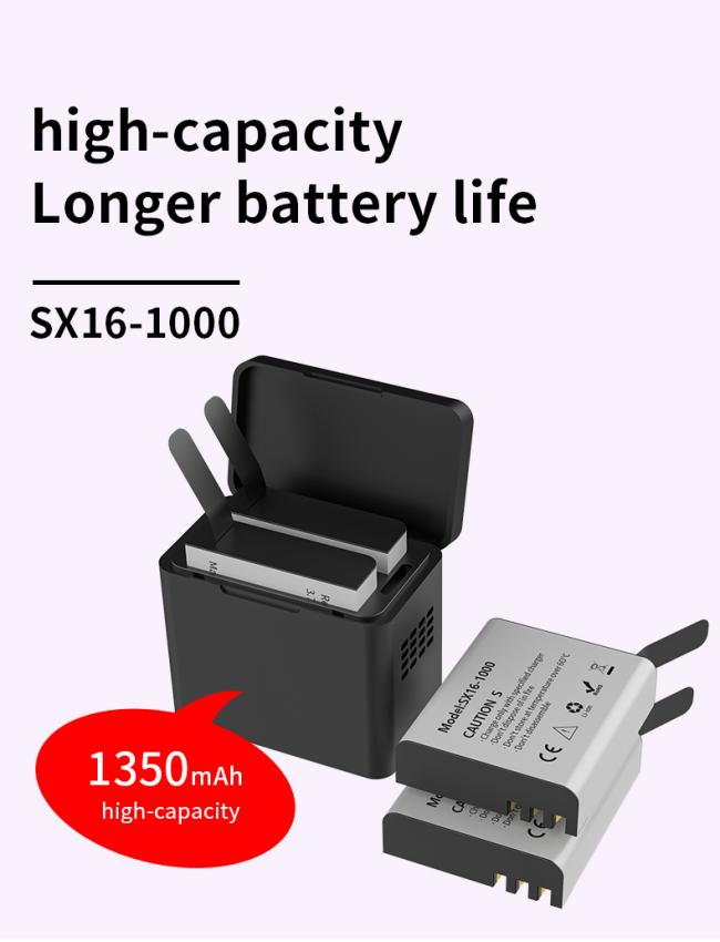 SX16-1000 battery close-up view