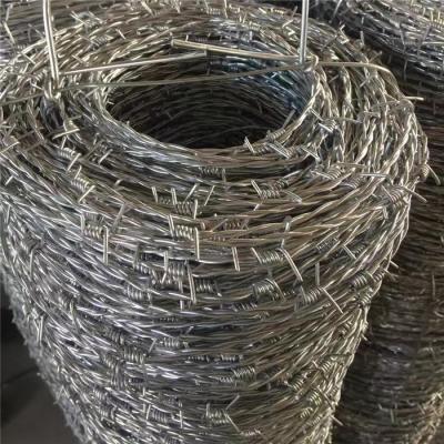 China 14x14 galvanized barbed wire for sale