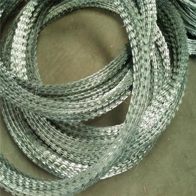 China Concertina Razor Wire  Flat Loop Razor for sale