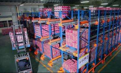 China FIFO / FILO Basis System Industrial Pallet Racks , Heavy Duty Pallet / Radio Shuttle Racking for sale