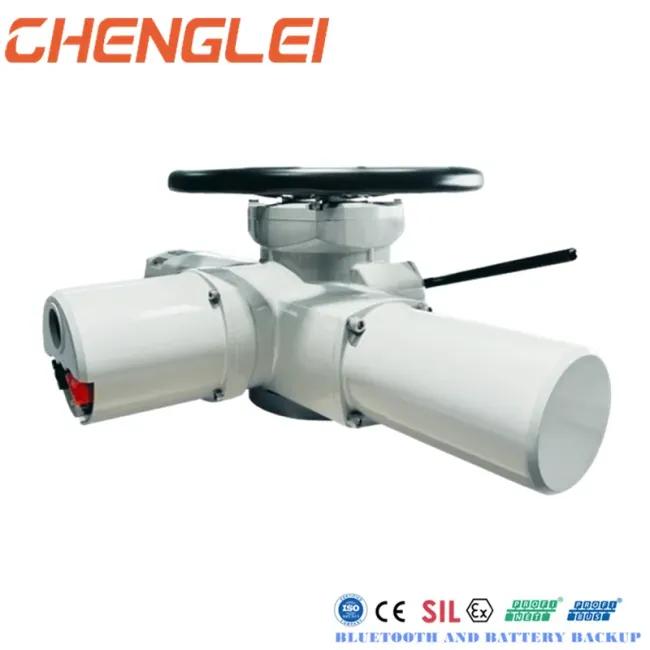 Electric actuator connection details