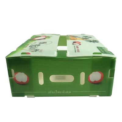 China Foldable  Factory Supply Recycled Folding PP Corrugated Coroplast Plastic Fruit Vegetable Box for sale