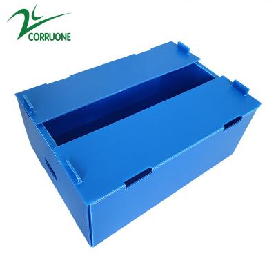 China Wholesale Reusable Stackable Pp Hollow Corrugated Plastic Corflute Packaging Fruit And Vegetable Box for sale