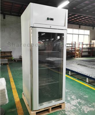 China Sharecool GN Pans Stainless Steel Upright Refrigerator Single Door Upright Fridge for sale