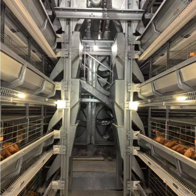 Automatic feeding system for H Type layer chicken cages