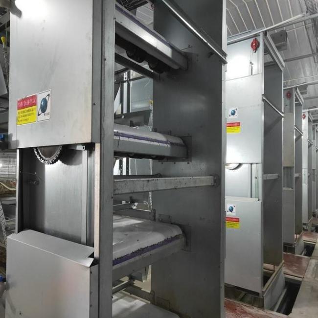 Automatic manure removal system for poultry cages