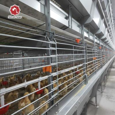 China Silver Color 3 Tiers Broiler Chicken Cage For Chicken Farm for sale