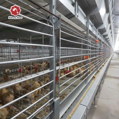 中国 One Day Old Meat Poultry Broiler Cage For Chicken Farm 販売のため