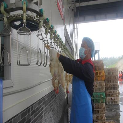 China 300-500BPH Automatic Poultry Slaughterhouse Chicken Slaughtering Machine for sale