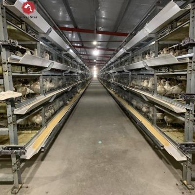 China 30000 Birds Hot Dip Galvanized Steel H Type Battery Cages For Broiler Chicken for sale