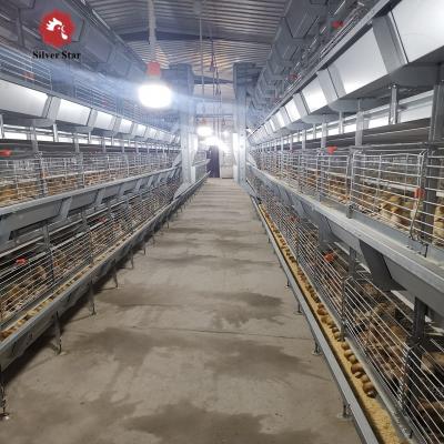 中国 H Type 3 Tiers 4 Tiers Poultry Farm Broiler Cage Equipment for 50000 chickens 販売のため