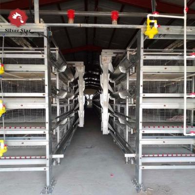 China 5000 Birds Broiler Poultry Cage Farm Hot Dip Galvanized Battery H Frame Farm Chicken for sale