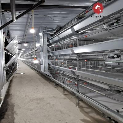 中国 Poultry Feeding Line Broiler Farming Equipment With Automatic Feeders And Drinkers 販売のため