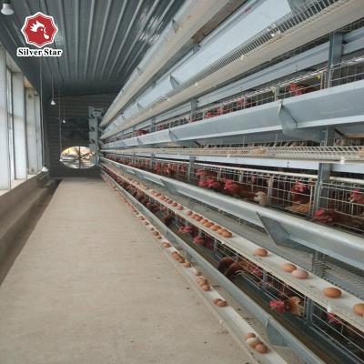 Chine Hot Dip Battery Chicken Cages Coop Galvanized Steel H Type Egg Layer 384 Birds / Set à vendre