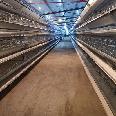 China 120 Birds Battery Chicken Cage Nigeria Poultry Farm Galvanized Q235 3 Layers en venta