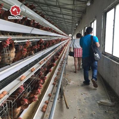 China Hot Dip Galvanized Steel Layer Chicken Cage 90-160 Chickens Easy To Install for sale
