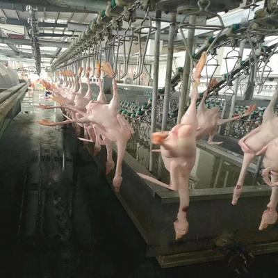 中国 自動小さい食肉処理場の家禽の屠殺場装置の鶏の移動式機械類 販売のため