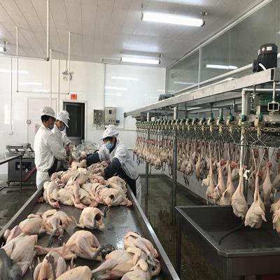 China Halal Chicken Abattoir Slaughter Line Machine Equipment 500BPH - 10000BPH for sale