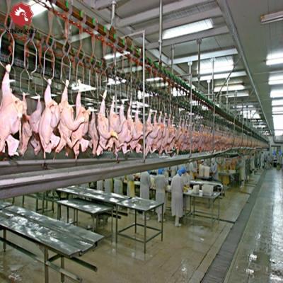 China Halal Poultry Automatic Abattoir Chicken Slaughtering Processing Scalding Plucking Machine for sale