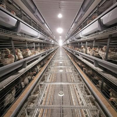 China Automatic Egg Layer Chicken Battery Cage 3 Tiers 4 Tiers H Type Poultry Feeding Equipment for sale