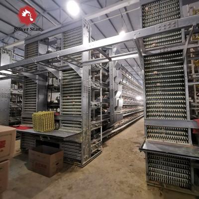 China H Type Layer Chicken Cage Fully Automatic 195*230*150 For Poultry Farm for sale