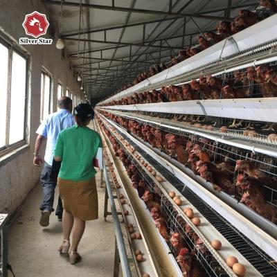 China 90-160 Chickens Battery Chicken Cage With 3-4 Layers Ventilation System for sale