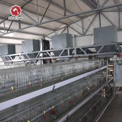 China A Model Egg Laying Chicken Coop 160 Chickens Poultry Chicken Cages For Animal Feeder for sale