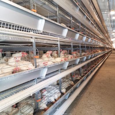 China 30000 Chicken Egg Layer Cages for sale