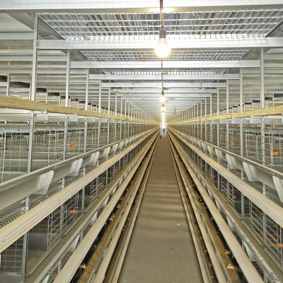 China 50000 Birds 5tiers Battery Chicken Cage Equipment Laying Hens Use ISO9001 Approval for sale