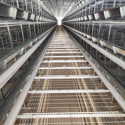 China H Type Automatic Layer Cage System , 450cm2/Bird Q235 4 Tier Chicken Cage for sale