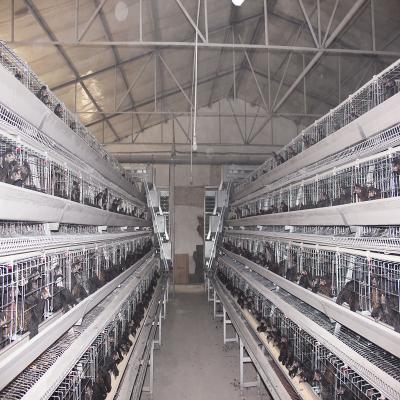 China 10000 Egg Layer Battery Chicken Cage Equipment Q235 Steel Material SONCAP Listed for sale