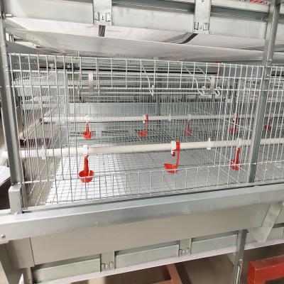 China Poultry Farm Q235 3 - 4Tier Battery Chicken Cage Broiler Breeding Use for sale