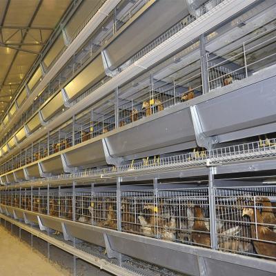 China 4Rows 50000 Hen Layer Chicken Cage Battery System 240 Birds / Cage for sale