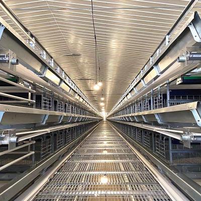 China 380V 3phase Farm Layer Chicken Cage For Laying Hens SGS Approval for sale